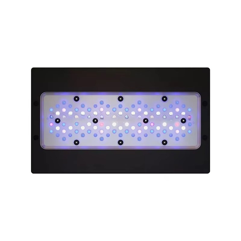 Aquarium Marine Blue - Luce LED per Acquario Marino A8