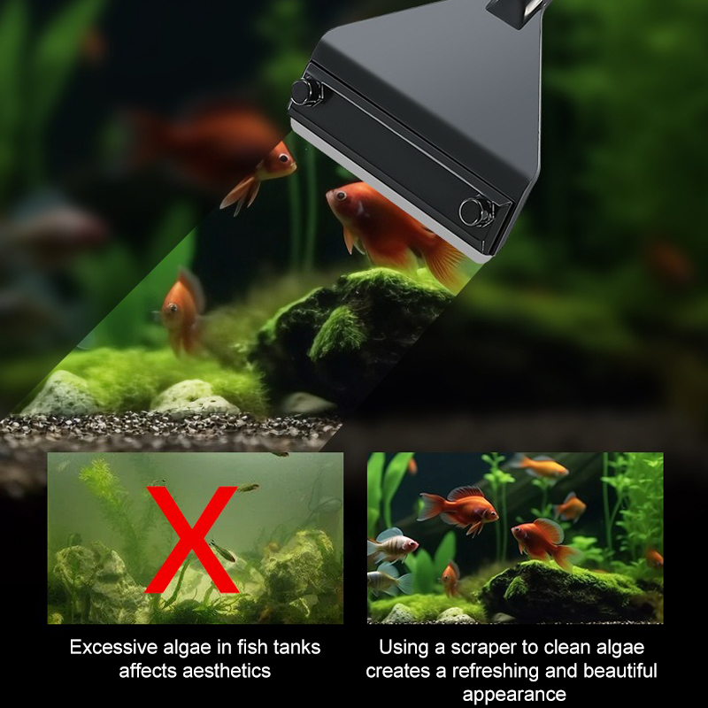 Rimozione delle alghe dell'acq - Marine Aquarium Glass Scraper recensione e prezzo