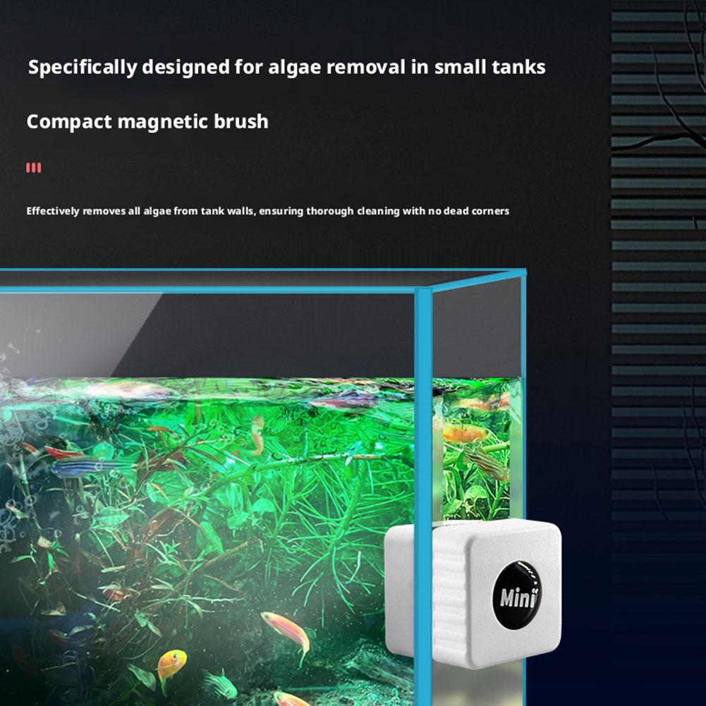 Pulitore Magnetico per Acquari - Marine Aquarium Glass Scraper recensione e prezzo
