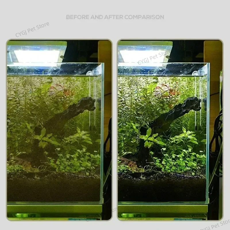 Strumento per la pulizia dell' - Marine Aquarium Glass Scraper recensione e prezzo