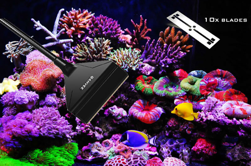 QANVEE Lega di alluminio e mag - Marine Aquarium Glass Scraper recensione e prezzo