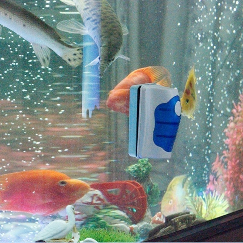 Raschietto per vetro acquario, - Marine Aquarium Glass Scraper recensione e prezzo