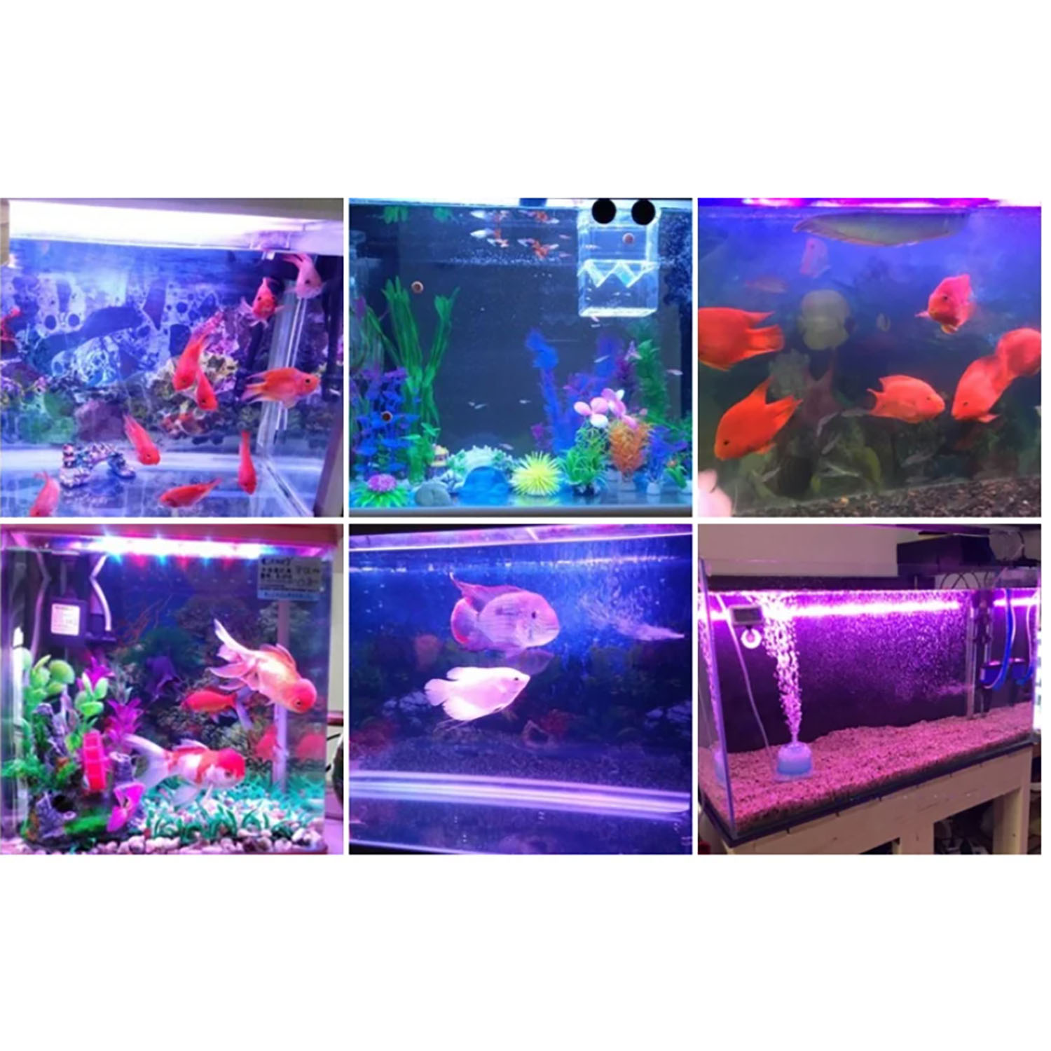 Illuminazione LED per Acquario - Aquarium Marine Blue recensione e prezzo