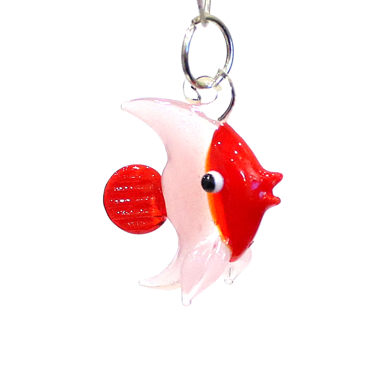 Due casi presentati in miniatu - Aquarium And Marine recensione e prezzo