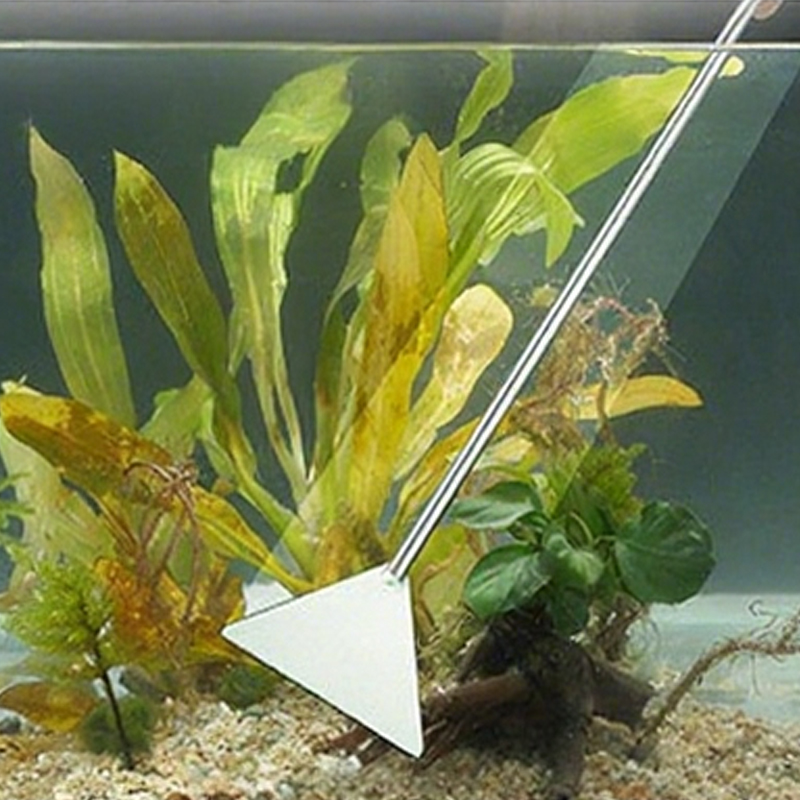 Forbici per acquario Pinzette  - Marine Aquarium Glass Scraper recensione e prezzo